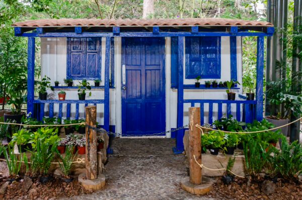 Bright blue cottage with a wooden fence and potted plants, surrounded by lush greenery in Arví Park, Medellín.