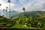 Colorful hot air balloon floats above lush green hills, tall wax palm trees, and cloud-covered mountains in Cocora Valley, Quindío, Colombia.