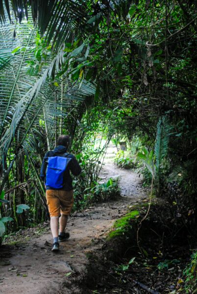 Hiker explores a lush green path surrounded by dense foliage near Santa Rita Waterfalls in Salento, Quindío, Colombia.