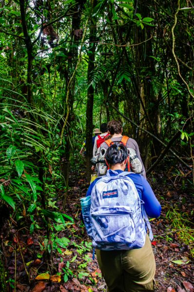 Explorers navigate a lush path through the vibrant greenery of Gamboa Nature Reserve in Loreto, Peru.