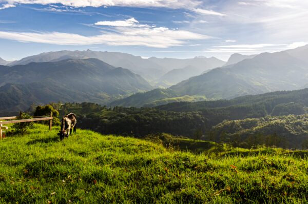 Lush green hills and mountains create a stunning backdrop in Carbonera Valley, Quindío, Colombia, under a bright blue sky.