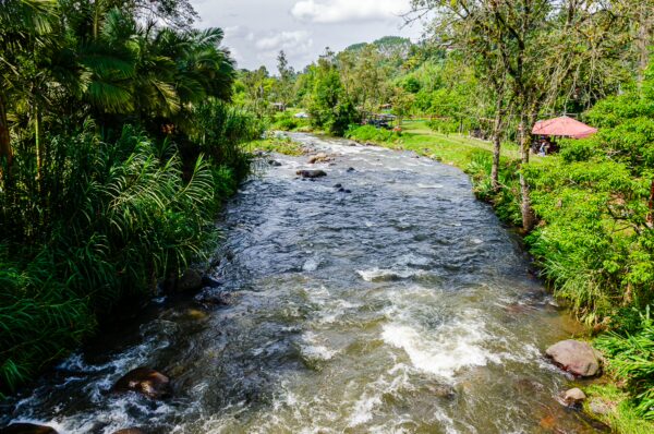 Rushing waters frame the lush greenery near Santa Rita Waterfalls in Salento, Quindío, Colombia, under a bright blue sky.