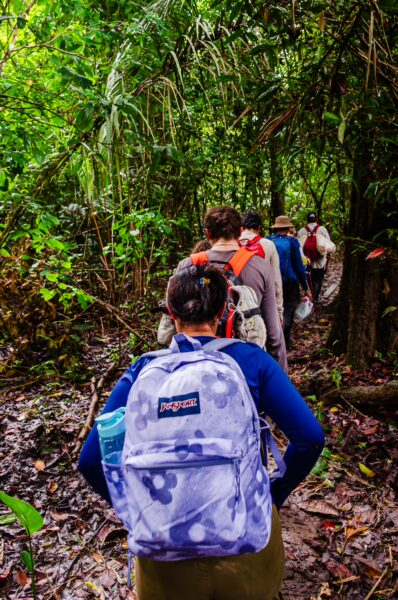 Hikers navigating a lush green trail in Gamboa Nature Reserve, Loreto, Peru, surrounded by dense tropical foliage.