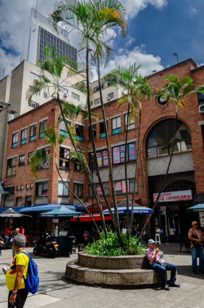 Lively square in Medellín with a large palm tree, brick buildings, and people enjoying the sunny day at outdoor cafés.