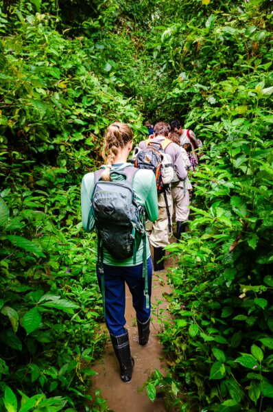 Hikers navigate a lush, green trail in Gamboa Nature Reserve, surrounded by dense tropical foliage in Loreto, Peru.