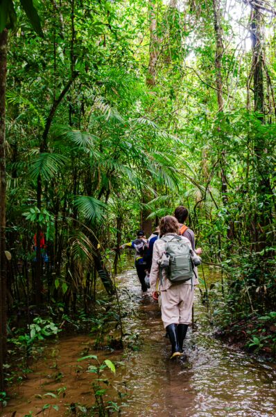 Explorers navigate a lush, green trail in the Gamboa Nature Reserve, surrounded by dense rainforests in Loreto, Peru.
