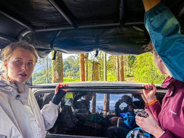 Adventurers inside a vehicle gaze out at the vibrant greenery and towering trees of Carbonera Valley, Quindio, Colombia.