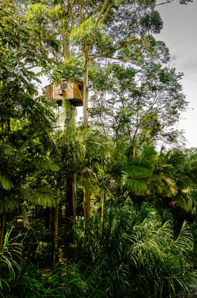 A wooden treehouse nestled among lush green foliage in the Santa Rita Waterfalls area of Salento, Quindio, Colombia.