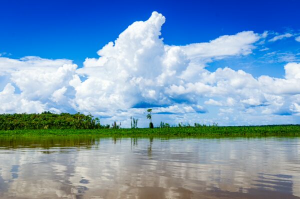 Lush greenery reflects in the calm waters beneath a vibrant sky filled with fluffy white clouds in Santa Rosa, Amazonas, Peru.