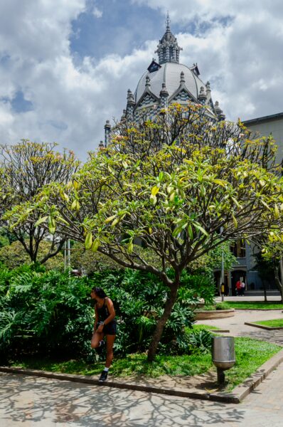 Plaza Botero in Medellín features lush greenery, with a person tending to a tree and the distinctive dome of a nearby building.