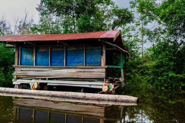 Wooden hut on stilts reflects in the calm waters of Gamboa Nature Reserve, surrounded by lush greenery in Loreto, Peru.