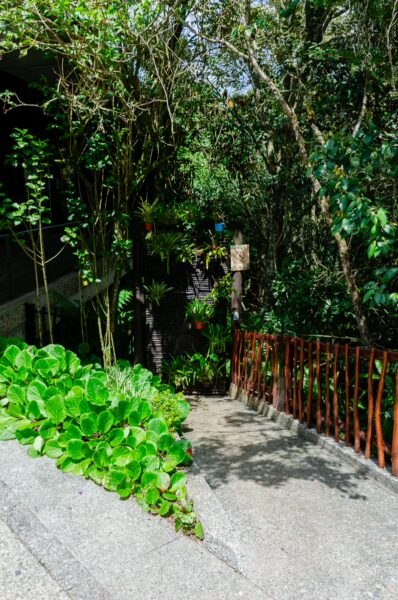 Lush greenery and vibrant plants line a stone pathway leading down through Arvi Park in Medellín, Antioquia, Colombia.