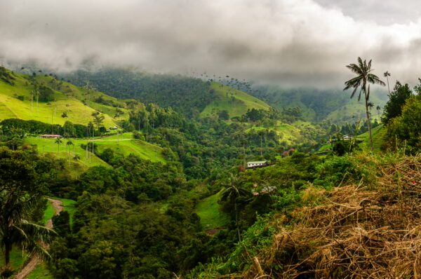 Lush green hills surround Cocora Valley in Quindio, Colombia, with misty clouds hovering above the landscape.