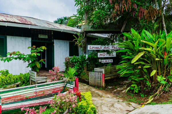 Lush greenery surrounds Lomas del Palmar Hotel in Puerto Nariño, Amazonas, Colombia, showcasing vibrant flowers and rustic architecture.
