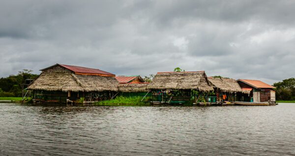 Traditional thatched huts line the calm waters of Pirana Lake in Gamboa Nature Reserve, surrounded by lush greenery in Loreto, Peru.