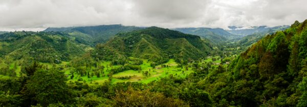Lush green hills and valleys under cloudy skies at Mirador de Valle Cocora in Salento, Quindio, Colombia.