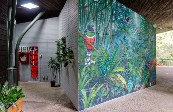 Vibrant mural depicting tropical birds and lush greenery at Arvi Park, Medellín, surrounded by indoor plants and natural light.