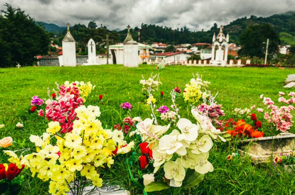Colorful flowers in the foreground with a cloudy sky over the cemetery in Salento, Quindio, Colombia, providing a serene atmosphere.