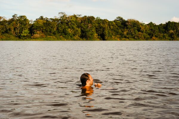 Caiman resting in the tranquil waters of Gamboa Nature Reserve, surrounded by lush greenery in Loreto, Peru.