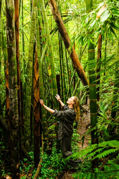 Exploring lush bamboo forests in Salento, Quindio, Colombia, with vibrant greenery and tall bamboo stalks surrounding the traveler.