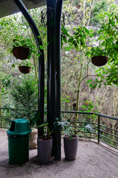 Lush greenery surrounds a balcony in Arvi Park, Medellín, with hanging plants and potted foliage enhancing the natural atmosphere.