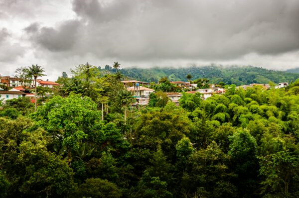 Lush greenery and vibrant homes peek through dense foliage under a cloudy sky in Salento, Quindío, Colombia.