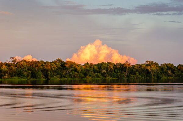 Golden clouds reflect on the calm waters of Caiman Lake, surrounded by lush greenery in Gamboa Nature Reserve, Loreto, Peru.