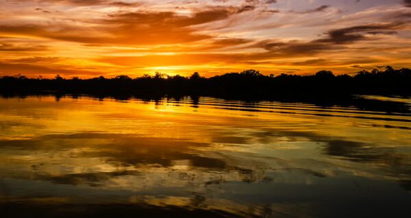 Golden sunset reflections on calm waters at Caiman Lake in Gamboa Nature Reserve, Loreto, Peru. Silhouetted trees line the horizon.