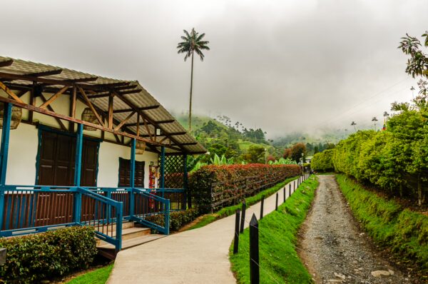 Cocora Valley’s lush greenery, rustic wooden house, and scenic path lead through Quindío, Colombia’s vibrant landscape.
