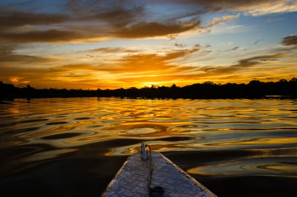 Caiman reflected in the tranquil waters at sunset in Gamboa Nature Reserve, Loreto, Peru, with vibrant orange and purple skies.