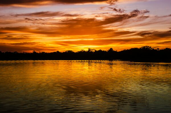 Vibrant sunset casts golden hues over calm waters in Gamboa Nature Reserve, Loreto, Peru, with silhouetted trees along the shore.