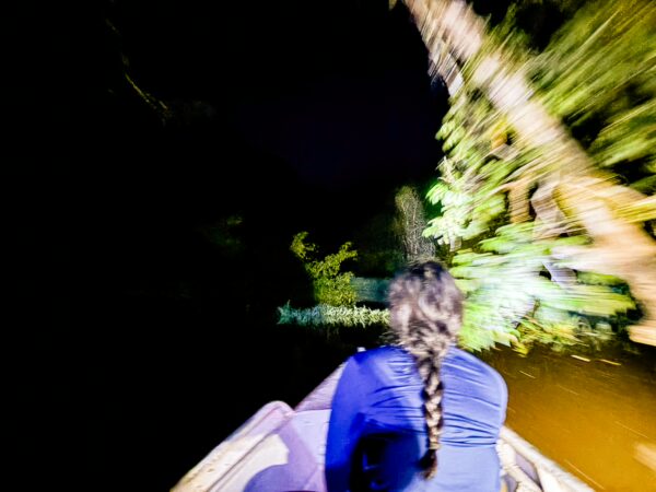 Exploring the Gamboa Nature Reserve in Loreto, Peru, a boat glides through dark waters surrounded by lush, illuminated foliage.