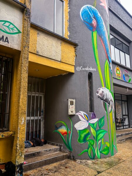Vibrant mural featuring flowers and a fish on a grey wall in Leticia, Amazonas, Colombia, highlighting local culture and art.