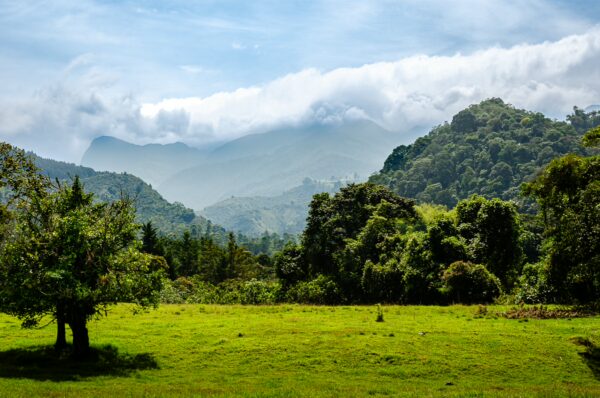 Lush green landscape with rolling hills and clouds over Santa Rita Waterfalls in Salento, Quindio, Colombia.