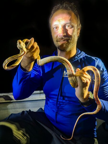 A person holds two boa snakes while on a boat at night in the Gamboa Nature Reserve, Loreto, Peru, showcasing the vibrant wildlife.