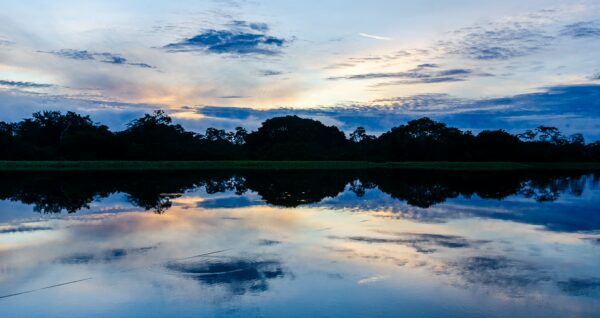 Tranquil Pirana Lake reflecting a stunning sunset and lush silhouettes of trees at Gamboa Nature Reserve, Loreto, Peru.