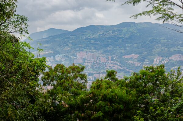 Lush greenery frames a panoramic view of Medellín's hillside neighborhoods against a backdrop of misty mountains in Antioquia, Colombia.