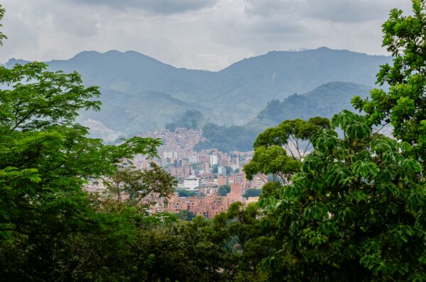 Medellín skyline viewed through trees from Cerro Nutibara, with mountains in the background