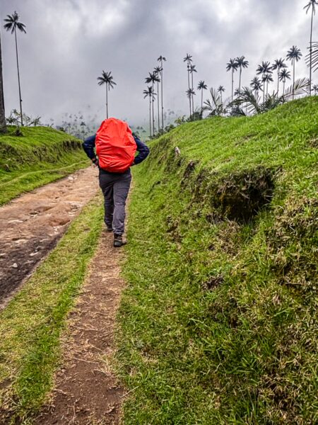 Hiking through lush green hills of Cocora Valley, a traveler with a red backpack walks along a dirt path surrounded by tall palm trees.