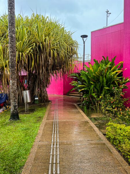 Pathway lined with vibrant pink walls and lush greenery at the Ethnographic Museum in Leticia, Amazonas, Colombia.