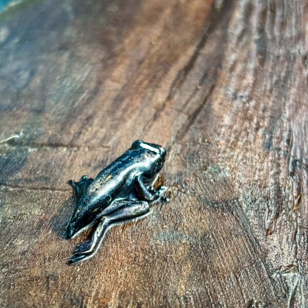 Black frog resting on a wooden surface in Gamboa Nature Reserve, showcasing the diverse wildlife of Loreto, Peru.
