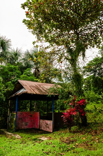 Colorful foliage surrounds a rustic shelter under a tree, highlighting the lush greenery of Puerto Narino, Amazonas, Colombia.