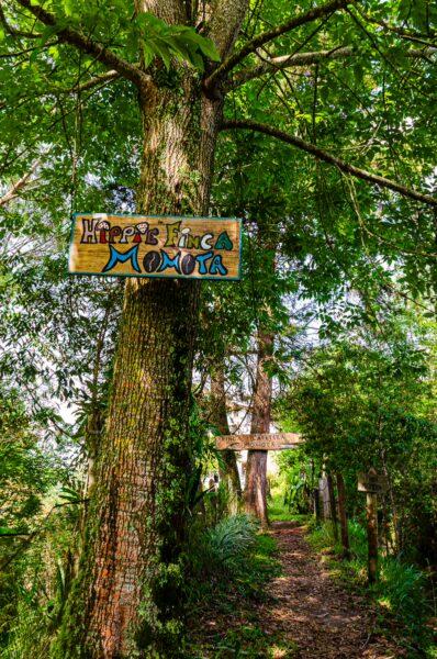 Lush green forest trails lead to the colorful Hostería Ecológica Monjitas sign in Salento, Quindió, Colombia.