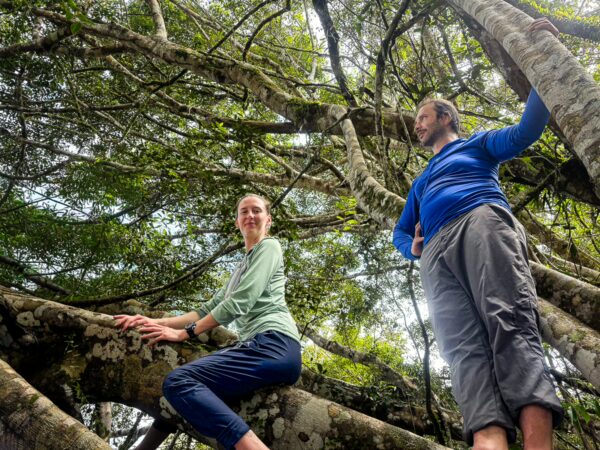 Explorers relax on tree branches in Gamboa Nature Reserve, surrounded by lush green foliage in Loreto, Peru.