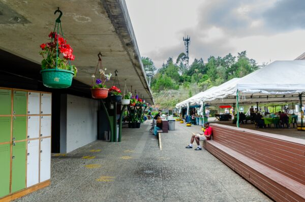 Vibrant flowers in hanging pots adorn Arvi Park in Medellín, while visitors relax and enjoy the greenery under a cloudy sky.