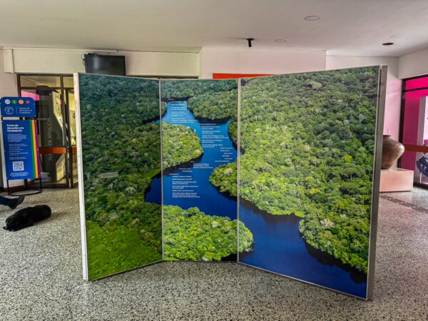 Ethnographic museum display featuring a vibrant depiction of lush green Amazon rainforest rivers in Leticia, Amazonas, Colombia.