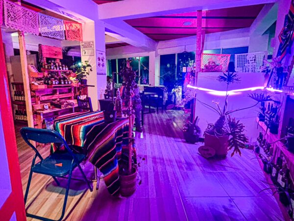 Vibrant interior of Bumi Cocina Natural in Salento, Quindío, featuring colorful decor, plants, and warm lighting.