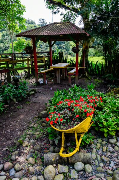 Vibrant flowers in a yellow wheelbarrow surround a rustic gazebo in lush greenery near Santa Rita Waterfalls, Salento, Quindio.
