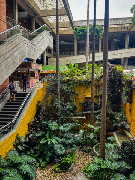Lush greenery and towering palms surround an open space in Terminal del Sur, Medellín, featuring vibrant yellow walls and stairs.