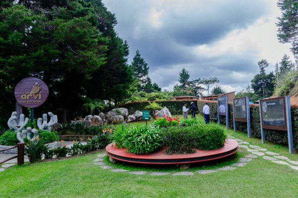 Visitors explore the lush greenery and artistic displays of Arvi Park, Medellin, under a moody, cloudy sky.